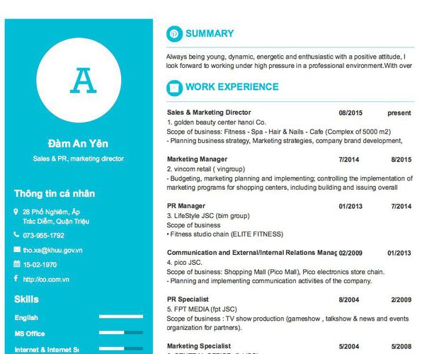 Mẫu CV Sales & PR, marketing director
