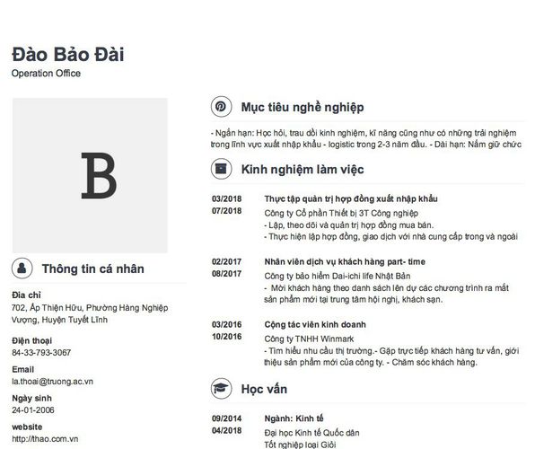 Mẫu CV Operation Office