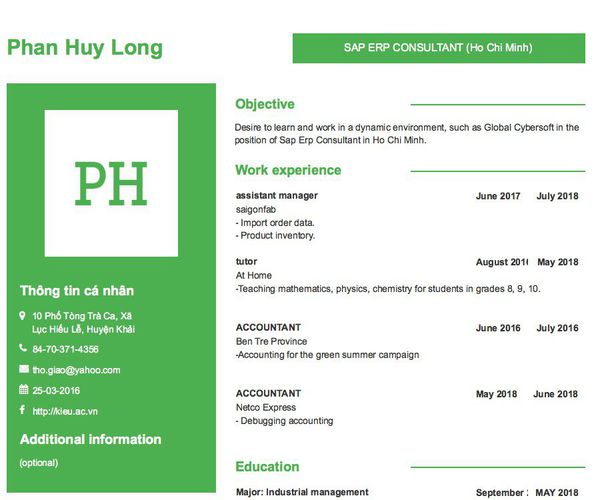 Mẫu CV SAP ERP CONSULTANT (Ho Chi Minh)