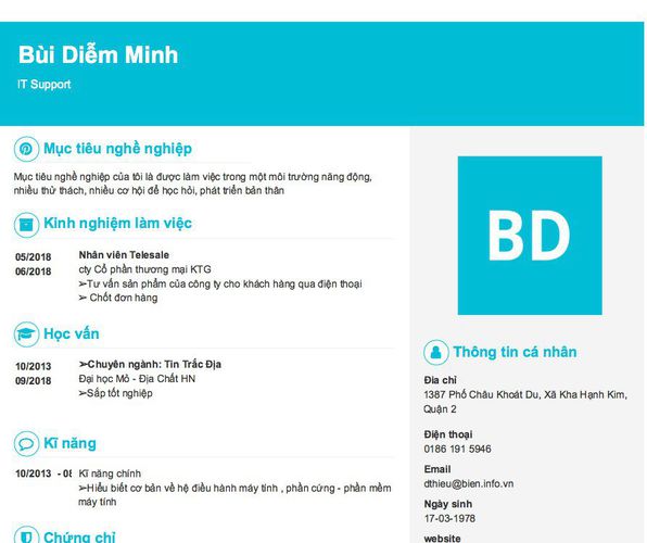 Mẫu CV IT Support
