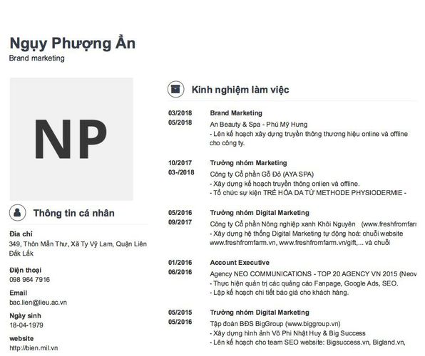 Mẫu CV Brand marketing