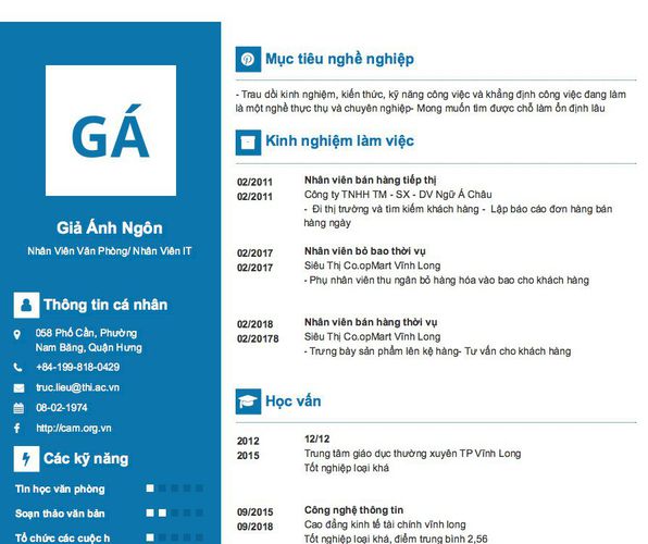 Mẫu CV Nhân Viên Văn Phòng/ Nhân Viên IT