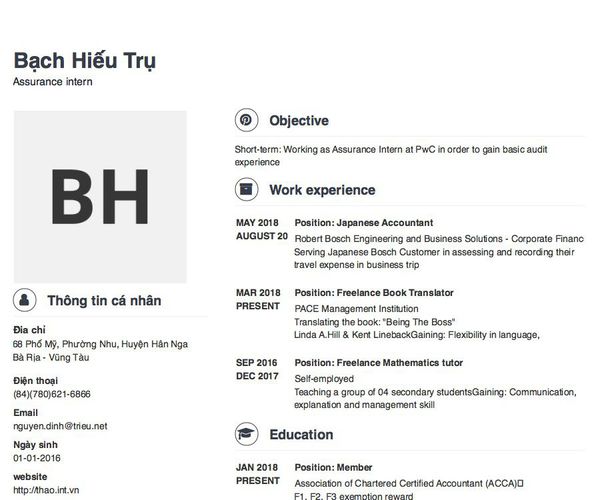 Mẫu CV Assurance intern