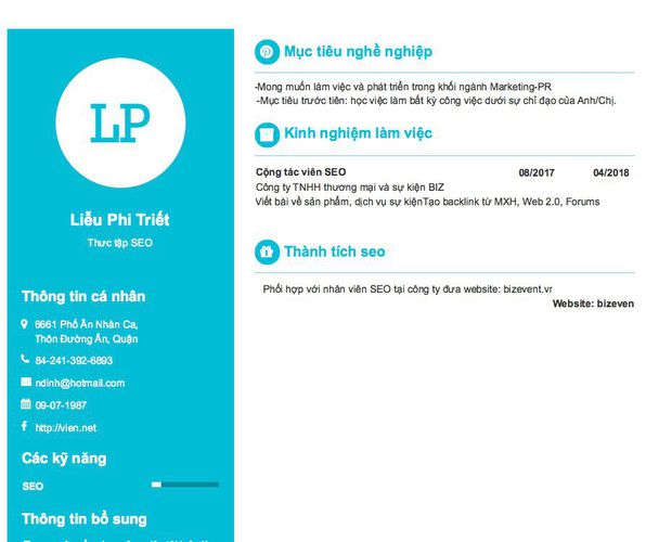 Mẫu CV Thưc tập SEO