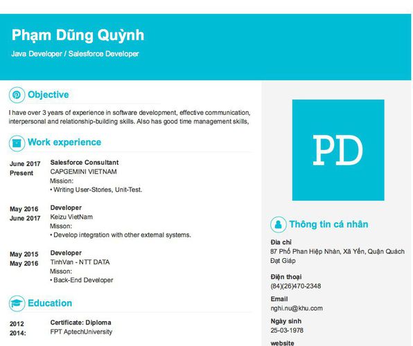 Mẫu CV Java Developer / Salesforce Developer
