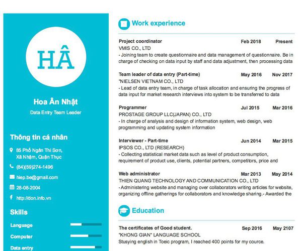 Mẫu CV Data Entry Team Leader