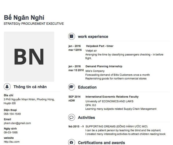 Mẫu CV STRATEGIy PROCUREMENT EXECUTIVE