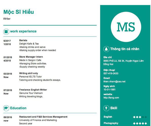 Mẫu CV Writer