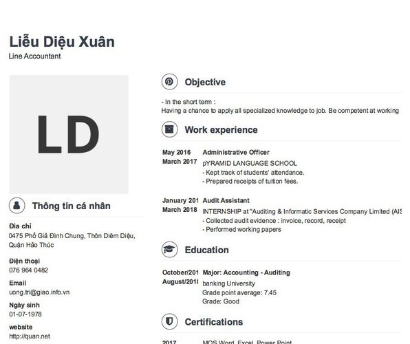 Mẫu CV Line Accountant