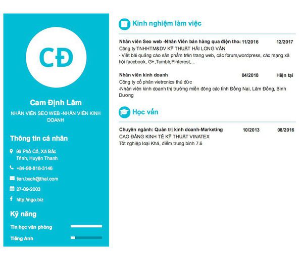 Gợi ý cách viết Mẫu CV tham khảo NHÂN VIÊN SEO WEB -NHÂN VIÊN KINH DOANH