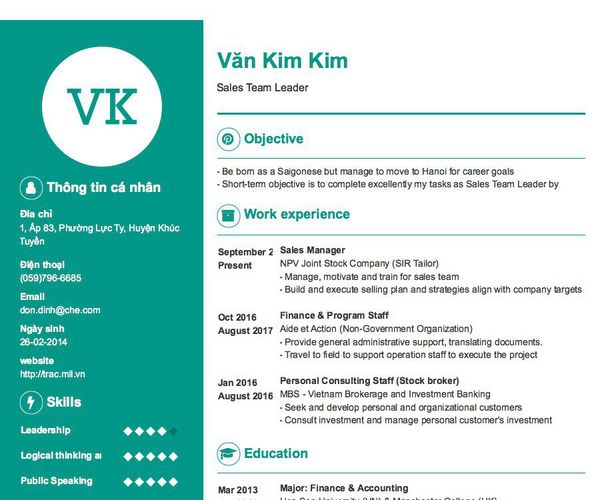 Mẫu CV Sales Team Leader