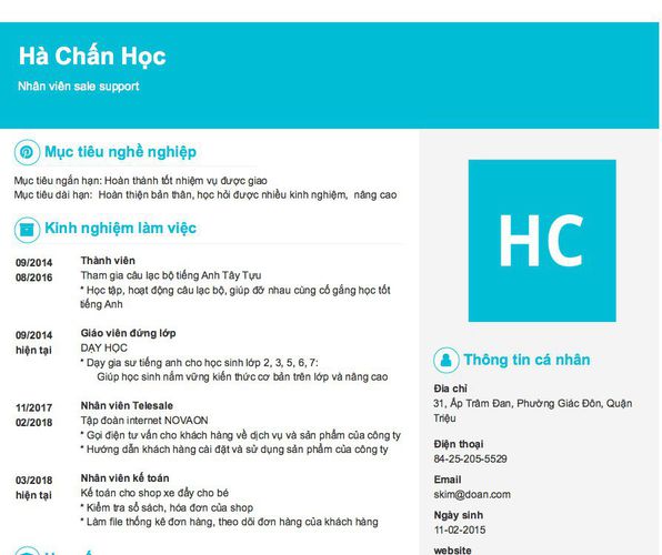 Mẫu CV Nhân viên sale support