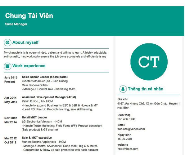 Mẫu CV Sales Manager