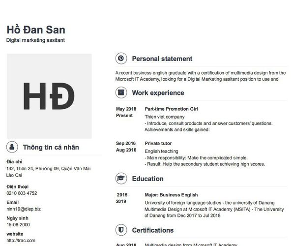 Mẫu CV Digital marketing assitant