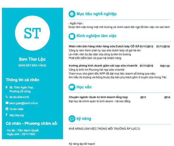 Mẫu CV GIÁM SÁT BÁN HÀNG