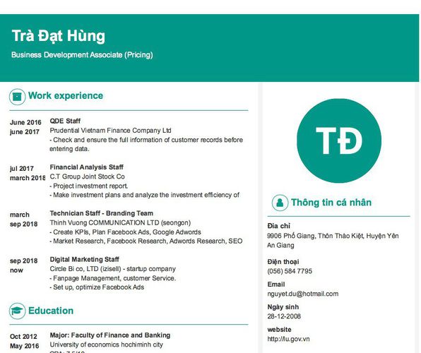 Mẫu CV Business Development Associate (Pricing)