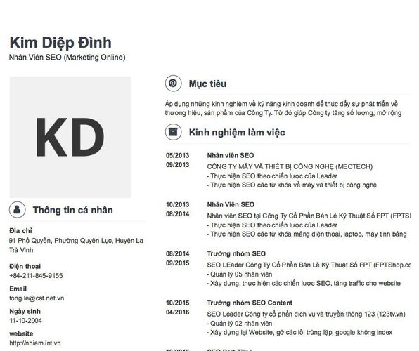 Mẫu CV Nhân Viên SEO (Marketing Online)