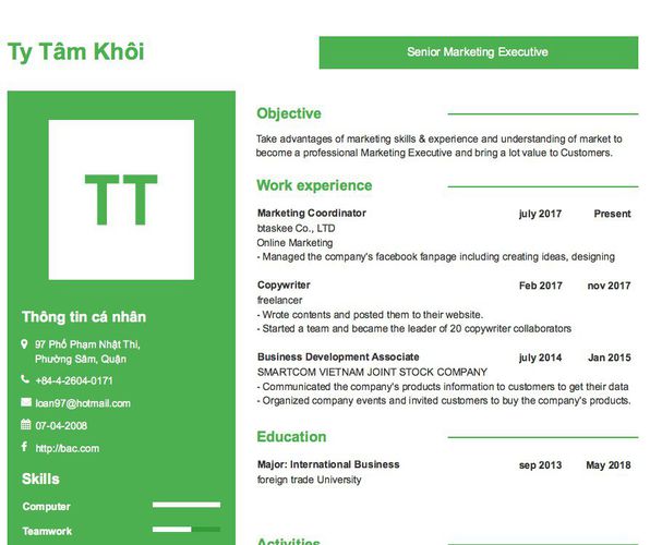 Mẫu CV Senior Marketing Executive