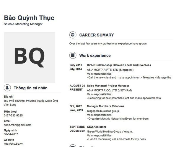 Mẫu CV Sales & Marketing Manager
