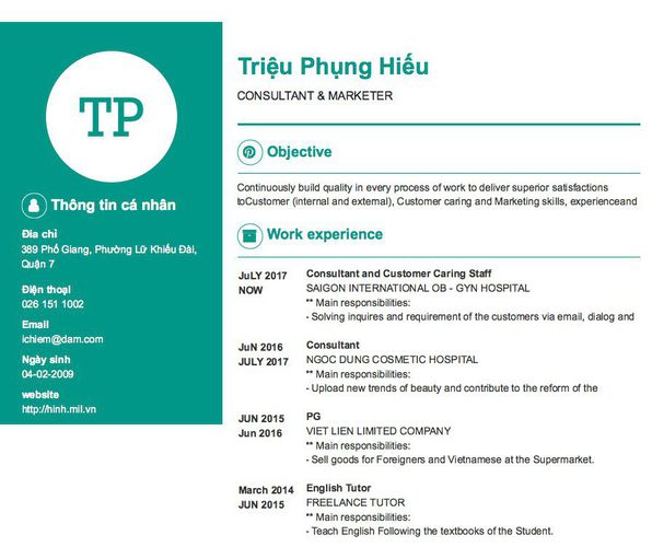 Mẫu CV CONSULTANT & MARKETER
