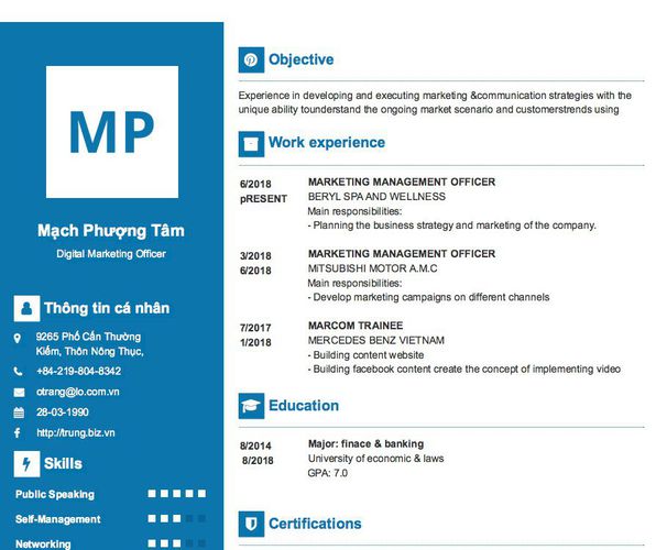 Mẫu CV Digital Marketing Officer