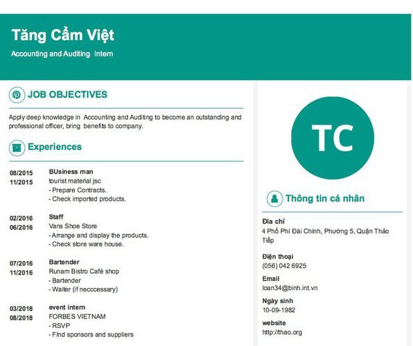 Mẫu CV Accounting and Auditing  Intern