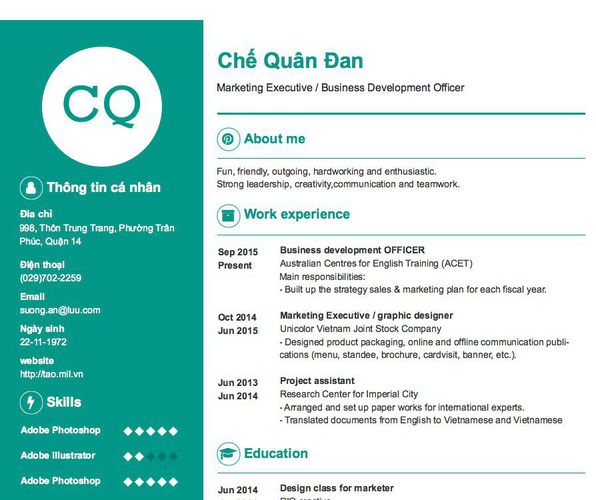 Mẫu CV Marketing Executive / Business Development Officer