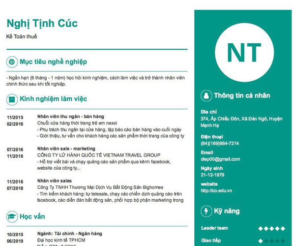 Mẫu CV Kế Toán thuế