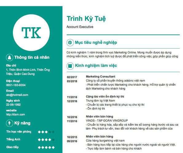 Mẫu CV Account Executive