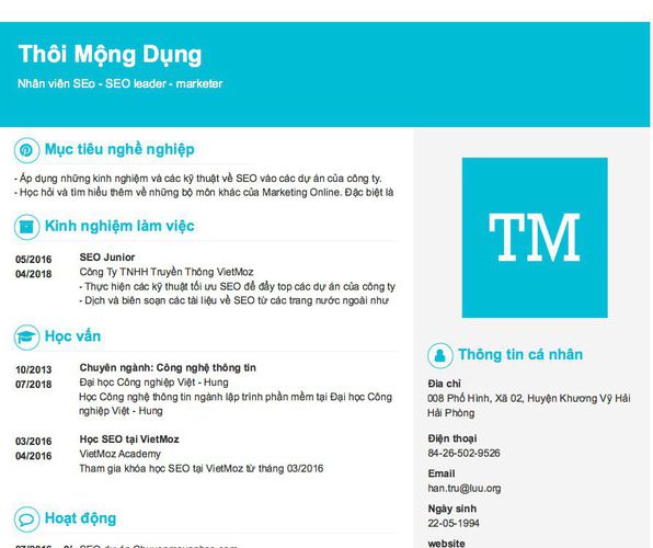 Mẫu CV Nhân viên SEo - SEO leader - marketer