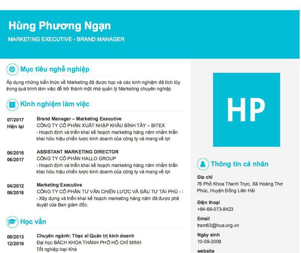Mẫu CV MARKETING EXECUTIVE - BRAND MANAGER