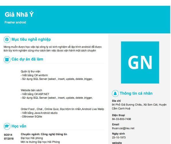 Mẫu CV Fresher android
