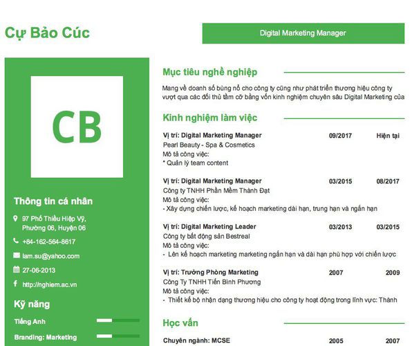 Mẫu CV Digital Marketing Manager