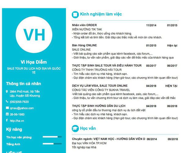 Gợi ý cách viết Mẫu CV tham khảo SALE TOUR DU LỊCH NỘI ĐỊA VÀ QUỐC TẾ
