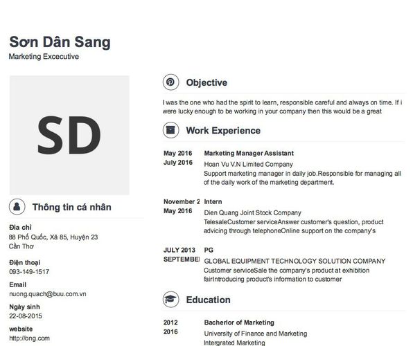 Mẫu CV Marketing Excecutive