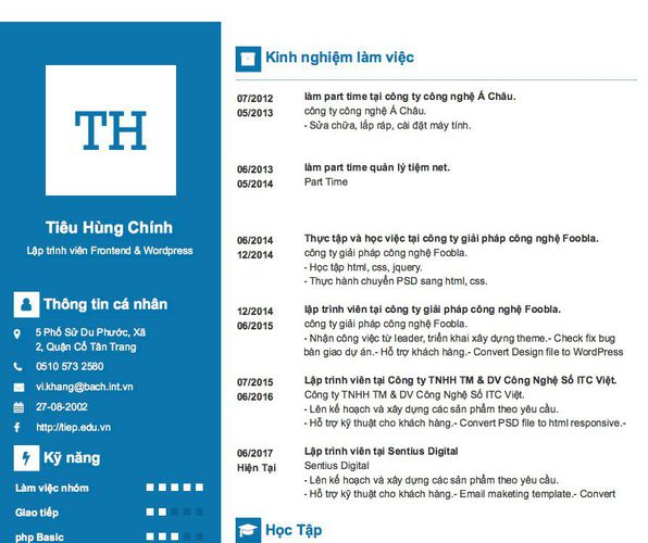 Mẫu CV Lập trình viên Frontend & Wordpress