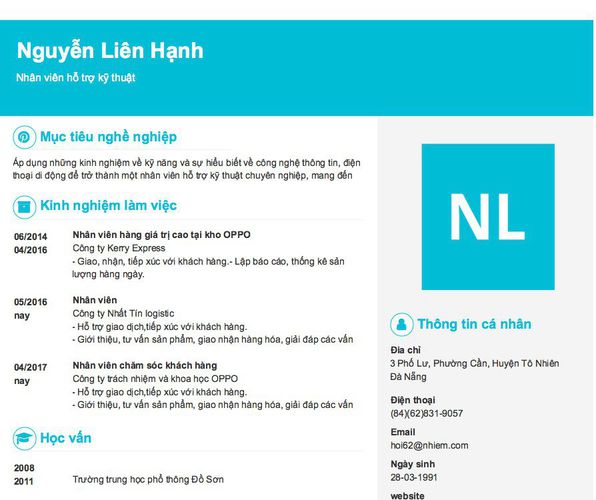 Mẫu CV Nhân viên hỗ trợ kỹ thuật