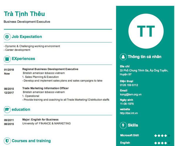 Mẫu CV Business Development Executive