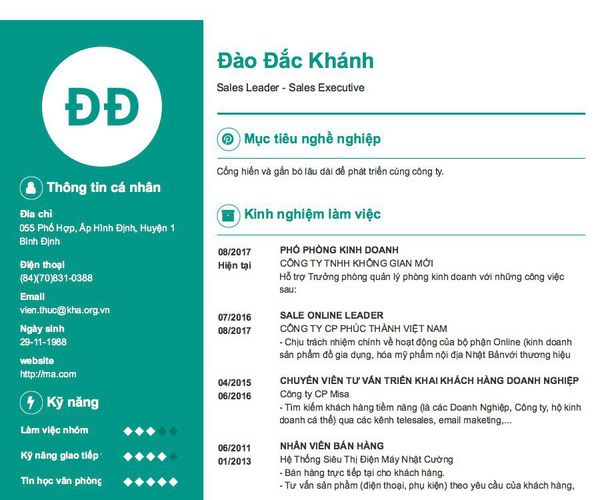 Mẫu CV Sales Leader - Sales Executive