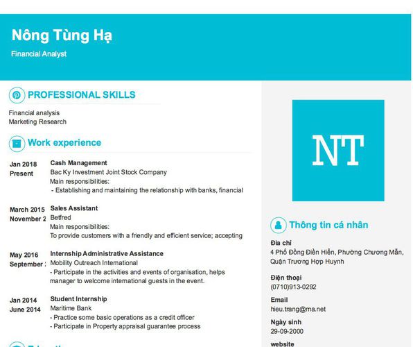 Mẫu CV Financial Analyst