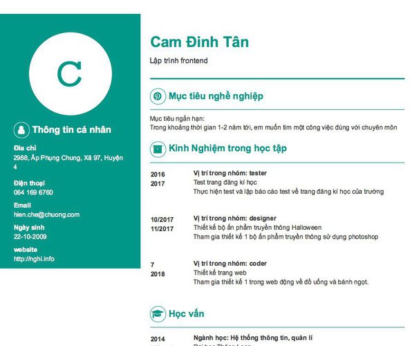 Mẫu CV Lập trình frontend
