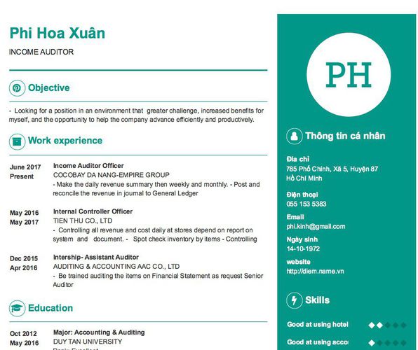 Mẫu CV INCOME AUDITOR