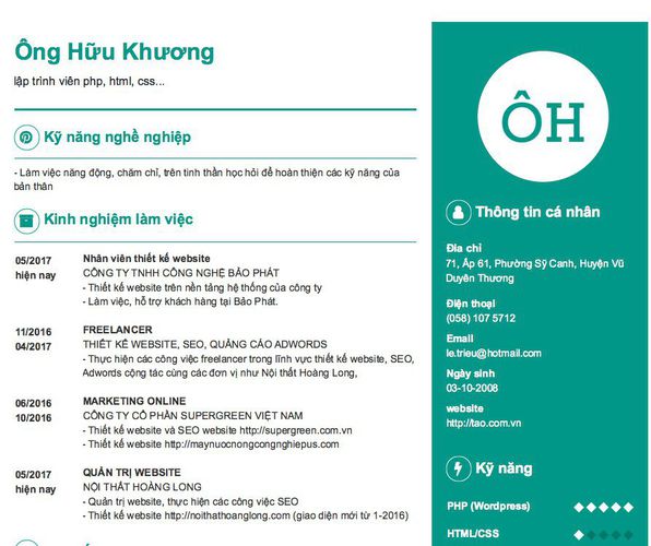 Mẫu CV lập trình viên php, html, css...