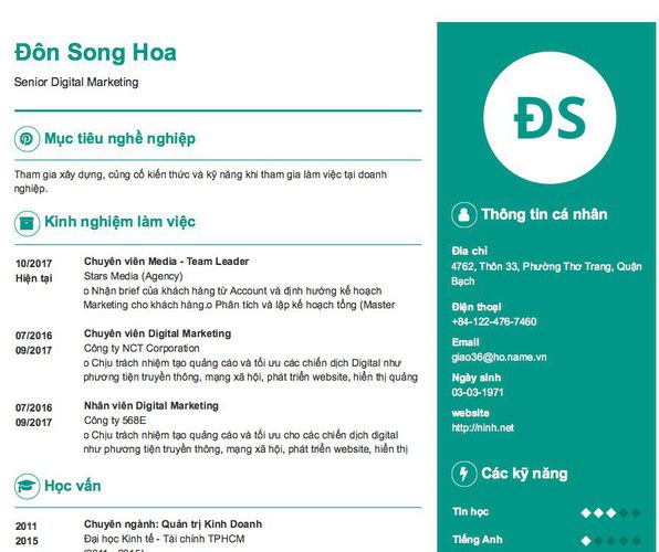 Mẫu CV Senior Digital Marketing