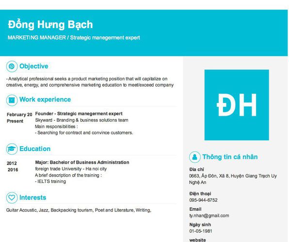 Mẫu CV MARKETING MANAGER / Strategic manegerment expert