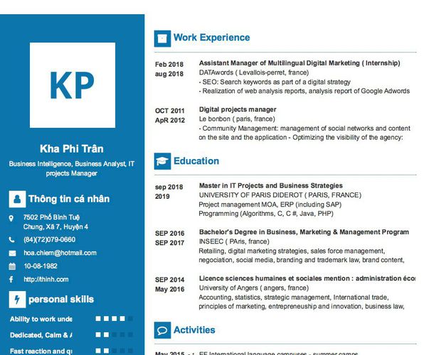 Mẫu CV Business Intelligence, Business Analyst, IT projects Manager