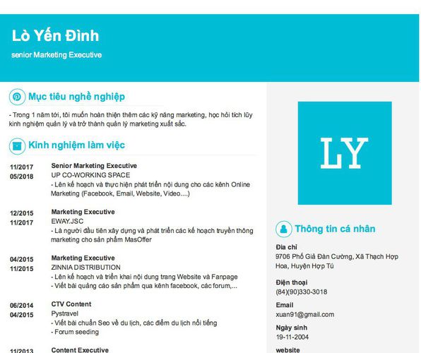 Mẫu CV senior Marketing Executive