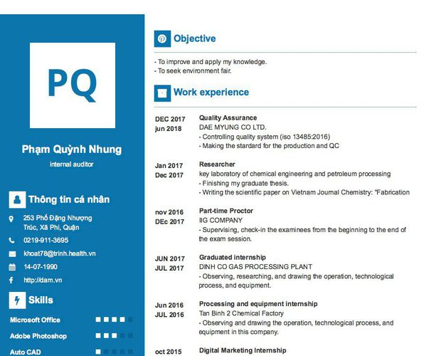 Mẫu CV internal auditor
