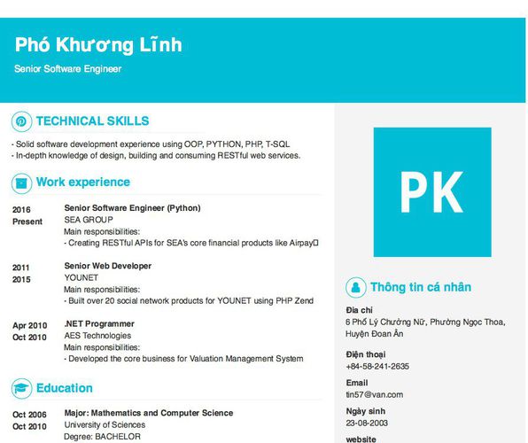 Mẫu CV Senior Software Engineer