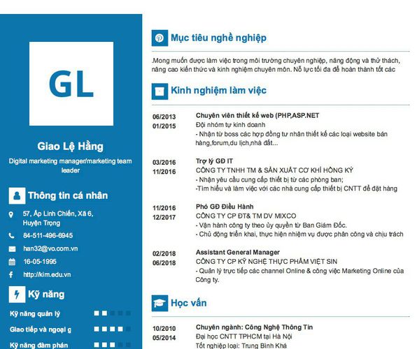 Mẫu CV Digital marketing manager/marketing team leader